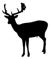 Wall Mural - deer silhouette