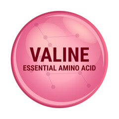 Wall Mural - Vector icon of valine. Essential amino acid with the abbreviation Val. Red molecule isolated on a white background. V amino acid used in the biosynthesis of proteins. Food and nutrition concept.