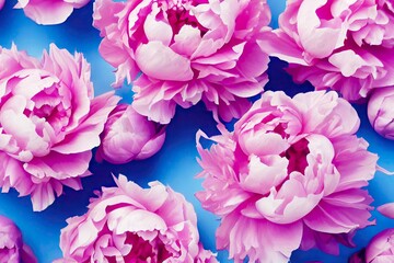 Sticker - Large buds and petals of bright pink peonies on blue background, created with generative ai