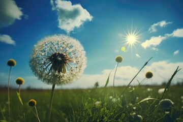 Poster - dandelion blooming in meadow, with tall grasses and blue sky in the background, created with generative ai