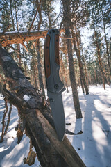 Folding tactical knife for survival and hiking is stuck into trunk fallen tree in pine winter forest.