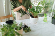 © Marc Tran/Stocksy - Asian girl planting a decorative plant in the house.