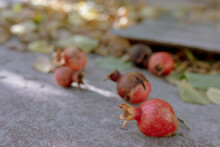 
Pomegranate Fruit On Autumn Leaves