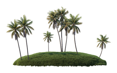 Wall Mural - Different level lawns and coconut trees on a transparent background.