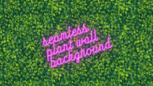 Seamless Plant Wall Background, Pattern With Outlines