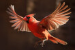 Northern Cardinal Bird in Flight on Dark Background . AI generated Illustration.