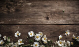 Fototapeta Nowy Jork - white daisy flowers on old wood, flat lay with copy space created with Generative AI technology