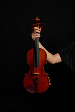 Female Hand Holding Violin