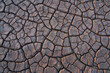 © Elena Saurius & Dani Rex/Stocksy - Dry ground textures in Namib desert, Namibia, Africa