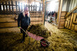 © Evgenij Yulkin/Stocksy - Woman working in the horse paddock