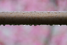 Rainy Weather, Drops Of Rain Dripping From Metal Railings
