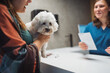 © Daniel Gonzalez/Stocksy - Crop owner with cute dog at appointment
