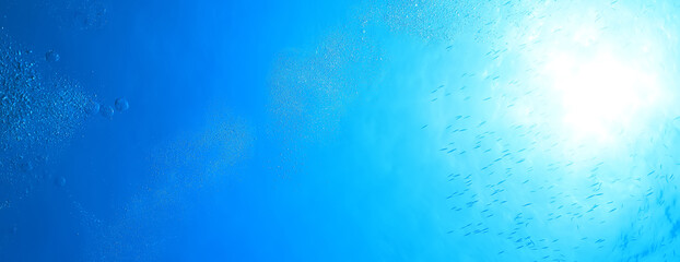 Wall Mural - flock of fish diving bubbles blue background abstract nature