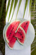 tropical background with watermelon 