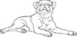 Petit Brabancon dog breed doodle style line drawing vector black and white illustration