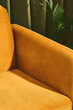 © Mariana Ibanez/Stocksy - mustard couch in front of green curtain and plant.