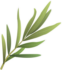 Wall Mural - 3D object elegant botanic garden plant leaf