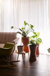 © ByLorena/Stocksy - Home interior decor with plants natural light
