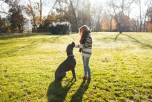 Standing Woman Caressing Big Dog At The Park