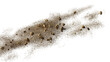 flying debris and dust, dirt close-up isolated on transparent background