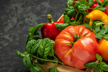 Wall Mural - Various colorful garden tomatoes, bell peppers and spices. Ingredients for cooking on a dark background. Long banner format place for text, top view