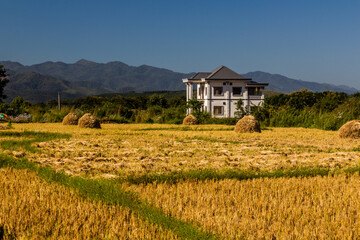 Wall Mural - Rural landscape near Muang Sing, Laos