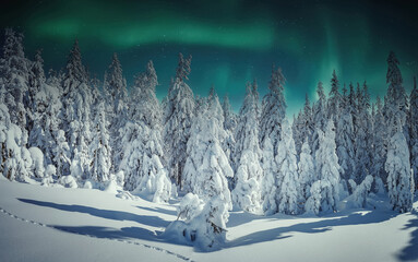 Aurora borealis over the frosty forest. Green northern lights above mountains. Night nature landscape with polar lights. Night winter landscape with aurora. Creative image. winter holiday concept.