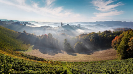 Aufkleber - Incredible misty morning in the mountains during sunrise. Amazing nature scenery. Stunning alpine Landscape. Wonderful counfryside with fog under sunlight. picture of wild area. Natural background.