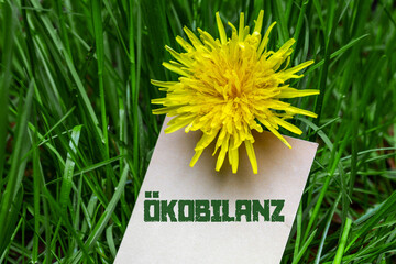 Canvas Print - Ökobilanz