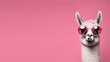 Cute lama alpaca in trendy pink sunglasses, isolated on pink background with copyspace. Generative AI