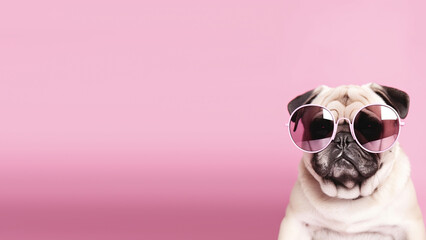 portrait of cute puppy pug in trendy pink sunglasses, isolated on pink background with copyspace. Generative AI