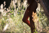 Nude woman standing in the sunlight among tall grass