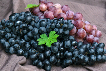 Wall Mural - Large clusters of pink and black grapes on a napkin.