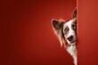 Dog peeking behind a corner. Red background with blank space for text. Generative Ai