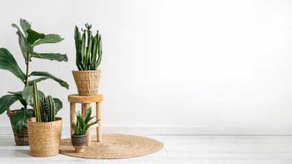 Wall Mural - houseplants on rattan rug in stylish apartment