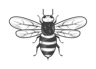 Poster - bee insect icon