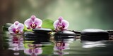 Fototapeta Kwiaty - orchids with stones and water, spa concept, generative ai