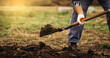 The gardener digs the garden with a shovel