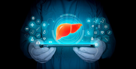 Wall Mural - Medical technology. Hepatologist. human organ Examination for the detection of gastroenterological abnormalities. Doctor with tablet shows the liver with modern technology. Black background