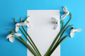 Wall Mural - Beautiful snowdrops and card on light blue background, flat lay. Space for text