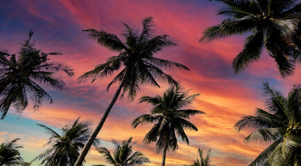 Wall Mural - The holiday of Summer with colorful theme as palm trees -sunset scene background