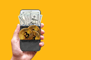 digital money wallet concept, crypto coins