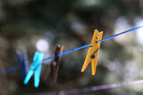 Fototapeta  - Kolorowe spinacze do prania wiszą na sznurku do suszenia. 
