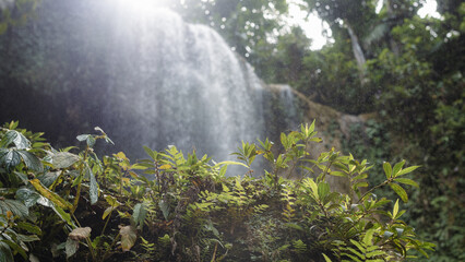 Wall Mural - waterfall in the tropical jungle, green array, ferns, palm trees, blurred background, sunlight