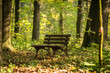 pusta ławka w jesiennym parku