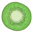 Kiwi - zielony, słodki i soczysty owoc o brązowej skórce. Zielony miąższ kiwi z czarnymi pestkami. Dojrzałe pyszne i orzeźwiające kiwi. Realistyczna ilustracja, rysunek wektorowy