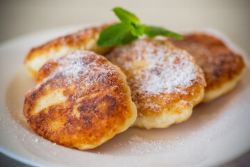 Wall Mural - Sweet cooked cheesecakes in powdered sugar in a plate