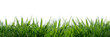 wild grass blades isolated on transparent background, grass leaves texture overlay