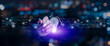 © Kampan - Businessman hand touching on hologram light bulb, Idea and imagination, Creative and inspiration, Science innovation with network connection, Solution analysis and development, Innovative technology