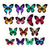 Fototapeta Motyle - Set of very beautiful colorful butterflies with color transitions isolated on a white background.